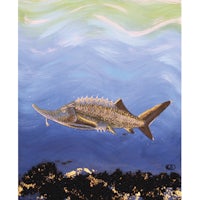 a painting of a fish swimming in the ocean